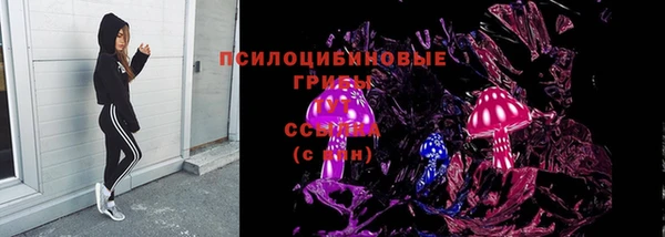 PSILOCYBIN Алексин