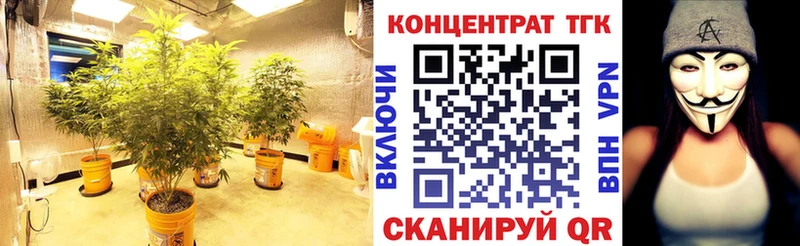 ТГК концентрат  Далматово 